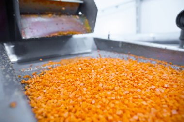 Parlak doğranmış havuç parçaları şok dondurucu haznede hareket ederken, taşıyıcı bant da yapışmalarını önlemek için zarları sürekli sallıyor. Uzun raf ömrü için perakende satışa hazır..