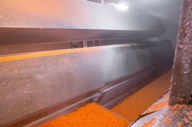 Parlak doğranmış havuç parçaları şok dondurucu haznede hareket ederken, taşıyıcı bant da yapışmalarını önlemek için zarları sürekli sallıyor. Uzun raf ömrü için perakende satışa hazır..