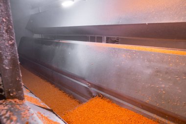 Parlak renkte doğranmış havuç küpleri helikopter koleksiyoncusundan hareket eden bir ağ taşıyıcısının üzerine düşer ve sonra da patlayıcı dondurucunun içine düşer..