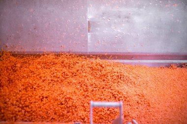 Parlak renkte doğranmış havuç küpleri helikopter koleksiyoncusundan hareket eden bir ağ taşıyıcısının üzerine düşer ve sonra da patlayıcı dondurucunun içine düşer..