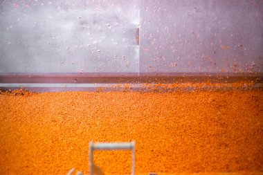 Parlak doğranmış havuç parçaları şok dondurucu haznede hareket ederken, taşıyıcı bant da yapışmalarını önlemek için zarları sürekli sallıyor. Uzun raf ömrü için perakende satışa hazır..