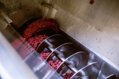 Vidalarda olgun ahududu meyveleri var. Meyve suyu, gıda kalitesinde paslanmaz çelik vida tarafından ezilir. Çilek reçeli yapma süreci.