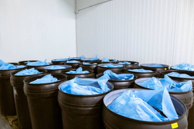 Taze toplanmış erikler derin siyah plastik fıçılarda deponun soğutulmuş haznesinde tasnif, işleme ve depolama için..