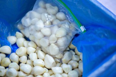 İnce buz kaplamalı, dondurulmuş sarımsak soğanlarının yakın çekimi. Süpermarketlerde raf ömrünün uzatılması ve bozulabilir hasat kalitesinin korunması için perakende paketlemeye hazırlar..