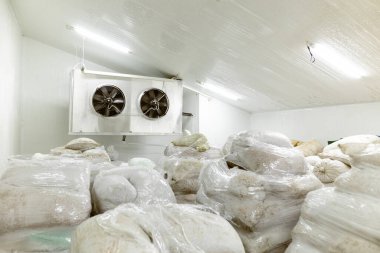 Dondurucu yöntemle dondurulmuş gıda ürünleri için soğuk hava deposu. Ürünler poşetlere doldurulur ve organize depolama ve dağıtım için ahşap paletlere yerleştirilir.