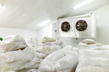Dondurucu yöntemle dondurulmuş gıda ürünleri için soğuk hava deposu. Ürünler poşetlere doldurulur ve organize depolama ve dağıtım için ahşap paletlere yerleştirilir.