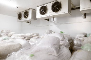 Dondurucu yöntemle dondurulmuş gıda ürünleri için soğuk hava deposu. Ürünler poşetlere doldurulur ve organize depolama ve dağıtım için ahşap paletlere yerleştirilir.