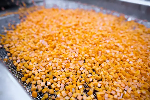 Parlak havuç küpleri parçalayıcı toplayıcıdan, şok odasına girmeden önce hareket eden ağ taşıyıcı bandına düşer..