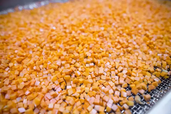 Parlak havuç küpleri parçalayıcı toplayıcıdan, şok odasına girmeden önce hareket eden ağ taşıyıcı bandına düşer..