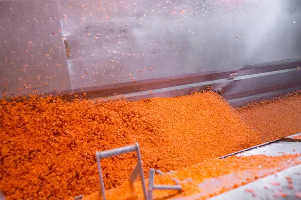 Parlak doğranmış havuç parçaları şok dondurucu haznede hareket ederken, taşıyıcı bant da yapışmalarını önlemek için zarları sürekli sallıyor. Uzun raf ömrü için perakende satışa hazır..