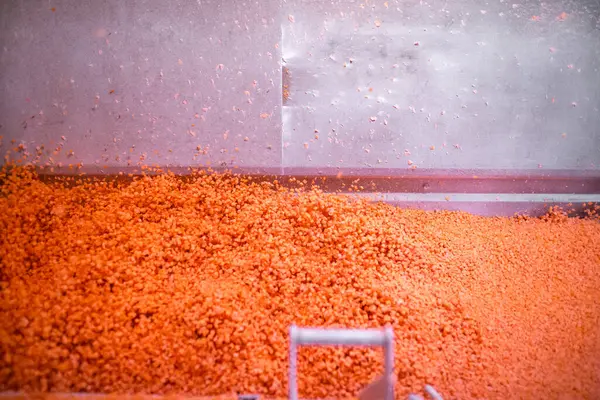 Parlak renkte doğranmış havuç küpleri helikopter koleksiyoncusundan hareket eden bir ağ taşıyıcısının üzerine düşer ve sonra da patlayıcı dondurucunun içine düşer..