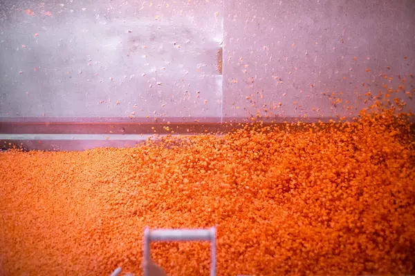 Parlak doğranmış havuç parçaları şok dondurucu haznede hareket ederken, taşıyıcı bant da yapışmalarını önlemek için zarları sürekli sallıyor. Uzun raf ömrü için perakende satışa hazır..