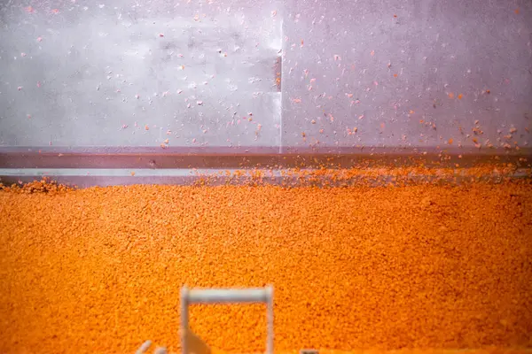 Parlak doğranmış havuç parçaları şok dondurucu haznede hareket ederken, taşıyıcı bant da yapışmalarını önlemek için zarları sürekli sallıyor. Uzun raf ömrü için perakende satışa hazır..