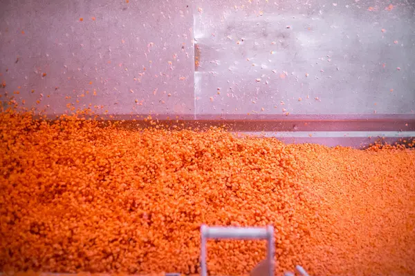 Parlak doğranmış havuç parçaları şok dondurucu haznede hareket ederken, taşıyıcı bant da yapışmalarını önlemek için zarları sürekli sallıyor. Uzun raf ömrü için perakende satışa hazır..