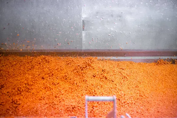 Parlak renkte doğranmış havuç küpleri helikopter koleksiyoncusundan hareket eden bir ağ taşıyıcısının üzerine düşer ve sonra da patlayıcı dondurucunun içine düşer..