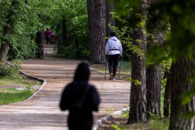 Parkta bir terrenkur patikasında yürüyen bir kadın. Spor kıyafetleri giyer ve yürüme sopaları kullanır. Çevresi yeşilliklerle çevrili olarak belirlenmiş yolda sabit bir hızda hareket eder..