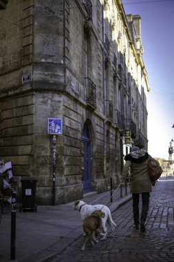 Bordeaux, Fransa - 23 Kasım 2021: Bir kadın, Caperans Caddesi ve Philippart Caddesi 'nin köşesinde Garonne seti yakınlarındaki Place de la Bourse yakınlarında zincirlenmiş bir Beagle ve Pitbull ile yürüyor..