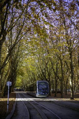 Bordeaux, Fransa - 23 Kasım 2021: Bir TBM tramvayı, Girondins Anıtı yakınlarındaki Place des Quinconces 'taki bir çınar ya da uçak ağacı sokağının altında son durağında..
