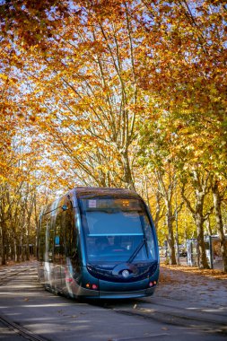Bordeaux, Fransa - 23 Kasım 2021: Bir TBM tramvayı, Girondins Anıtı yakınlarındaki Place des Quinconces 'taki bir çınar ya da uçak ağacı sokağının altında son durağında..