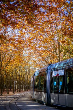 Bordeaux, Fransa - 23 Kasım 2021: Bir TBM tramvayı, Girondins Anıtı yakınlarındaki Place des Quinconces 'taki bir çınar ya da uçak ağacı sokağının altında son durağında..