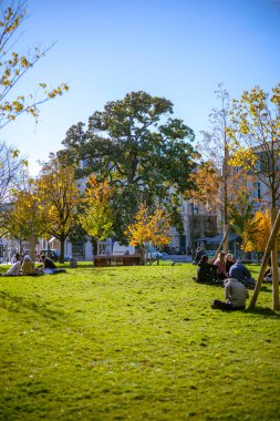 Bordeaux, Fransa - 23 Kasım 2021: Gambetta Meydanı 'ndaki halka açık park, güneşli bir sonbahar gününde insanların çimlerde dinlendiği yer. Bordeaux, Gironde, Yeni Aquitaine, Fransa.