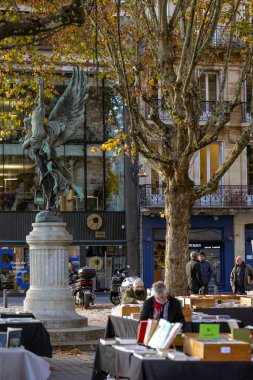 Bordeaux, Fransa - 23 Kasım 2021: Jean Moulin Meydanı 'ndaki açık hava kitap pazarı, insanların göz gezdirdiği kitaplar ve sonbahar ağaçlarının ortasındaki 