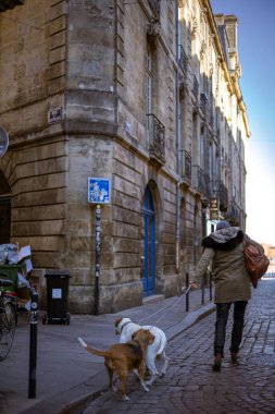 Bordeaux, Fransa - 23 Kasım 2021: Bir kadın, Caperans Caddesi ve Philippart Caddesi 'nin köşesinde Garonne seti yakınlarındaki Place de la Bourse yakınlarında zincirlenmiş bir Beagle ve Pitbull ile yürüyor..