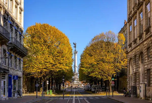 Bordeaux, Fransa - 23 Kasım 2021: Klasik binalar ve sonbahar ağaçları Cours de Tournon, yaya geçidi ve park edilmiş bisikletler. Bordeaux, Gironde, Yeni Aquitaine, Fransa.