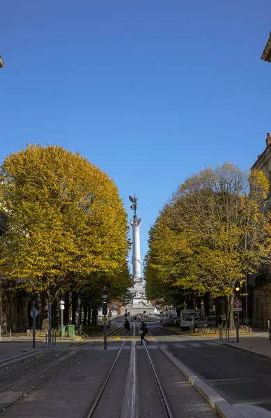 Bordeaux, Fransa - 23 Kasım 2021: Klasik binalar ve sonbahar ağaçları Cours de Tournon, yaya geçidi ve park edilmiş bisikletler. Bordeaux, Gironde, Yeni Aquitaine, Fransa.