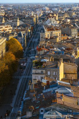 Tramvay rayları, araçlar, yayalar, klasik binalar ve sonbahar ağaçlarıyla Cr Pasteur ve güney Bordeaux 'nun panoramik manzarası yükselmiştir. Bordeaux, Gironde, Yeni Aquitaine, Fransa.