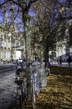 İki sepetli bisiklet, biri sarı, biri mavi, Ukrayna Meydanı 'nda sonbahar yaprakları olan bir caddede bir ağacın yanına park edilmiş. Bordeaux, Gironde, Yeni Aquitaine, Fransa.
