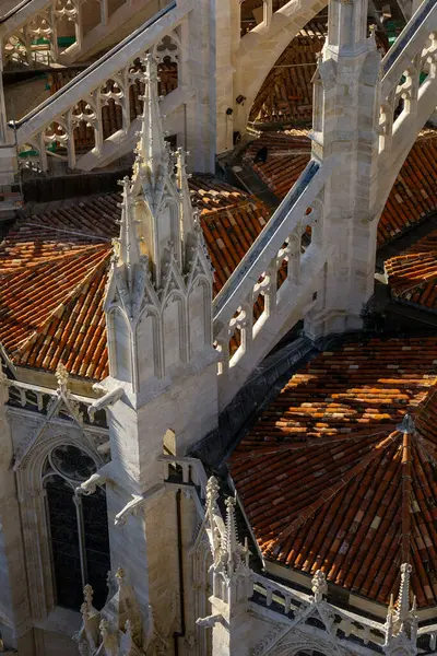 Saint-Andre Katedrali Gotik çatı çizgisi, uçan payandalar, kuleler ve karmaşık mimari detaylar. The Tour Pey Berland gözlem güvertesinden görüntü. Bordeaux, Gironde, Yeni Aquitaine, Fransa.