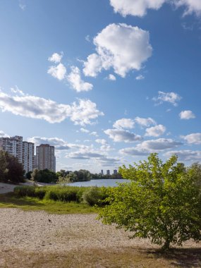 Kyiv, Ukrayna - 27 Haziran 2025: Sonyachne Gölü 'nde kumlu bir sahil önünde büyük bir ağaç ve su üzerinde çok sayıda yüksek binalar.