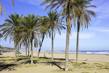 Valencia, İspanya 'da Malvarrosa' nın güneşli sonbahar plajlarında yaz titreşimleri. Deniz kıyısında palmiye ağaçları olan uzun bir set caddesi, tatilcileri köpüklü dalgalar boyunca yapayalnız yürüyüşlere çeker.