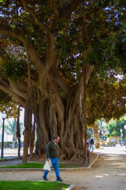 Alicante, İspanya 14 Kasım 2021: Melia tarafından Alicante 'de bulunan Alicante Gran Sol Oteli' nin cephesinde büyük bir duvar resmi bulunmaktadır. Noel ışıkları olan cadde restoran ve dükkanlarla dolu..