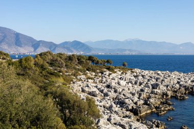 The rocky coast of the Mediterranean with lush greenery and distant mountains. clipart