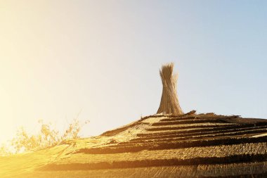 Açık mavi gökyüzünün altında sazdan yapılmış bir çatının tepesine yakın çekim, doğal dokuyu ve geleneksel inşa yöntemini gözler önüne seriyor..