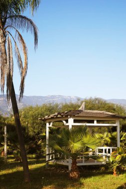 Beyaz bir çardağın yanında duran bir palmiye ağacının manzarası. Uzakta görünen dağlar ve açık mavi bir gökyüzü..