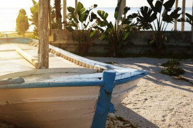 Beyaz ve mavi boyalı, tropikal bitkilerle çevrili, güneşli bir ortamda geçen kırsal ahşap bir tekne. Işık kumda yumuşak gölgeler yaratır..