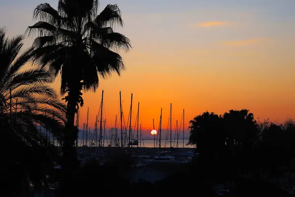 stock image The sun sets behind a marina, with the silhouettes of palm trees and boat masts standing out against the bright orange sky.