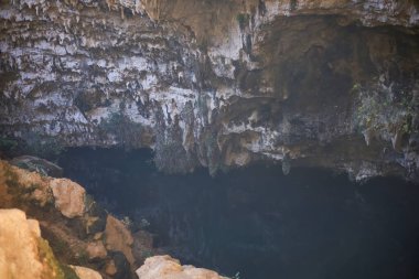 Kayalık oluşumlarla çevrili karanlık bir mağara girişi, tabanında durgun karanlık su ve kaya duvarlarından büyüyen seyrek bitki örtüsü..