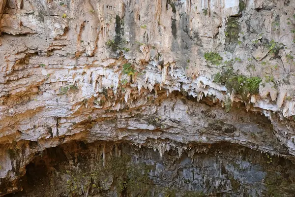 stock image A steep cliff with rugged overhangs and sparse vegetation clinging to the rocky surface, with clear signs of erosion.