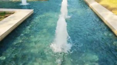 Bereketli parkta akan sular ve yüksek ağaçlarla dolu sakin bir çeşme..