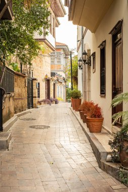 Saksı bitkileri ve tarihi binalarla dolu tuhaf dar bir kaldırım taşı caddesi..