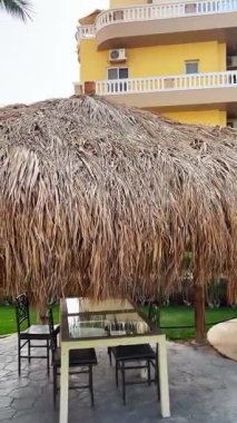 Palmiye ağaçları ve saman şemsiyeleri olan tropik bir tatil köyü..