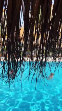 Sazlı çatı altında rahatlatıcı havuz sahnesi.