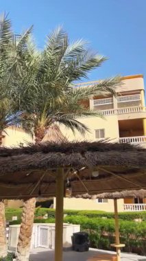 Açık mavi gökyüzüne karşı palmiye ağaçları ve sazdan çatı.