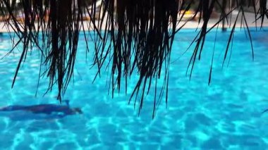 Güneşli mavi havuzda yüzen kişi.