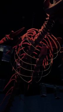 Karanlık müzede ışıklandırmalı dinozor iskeleti sergileniyor.