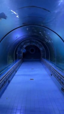 Dairesel pencereli ve mavi kiremitli su altı tüneli.